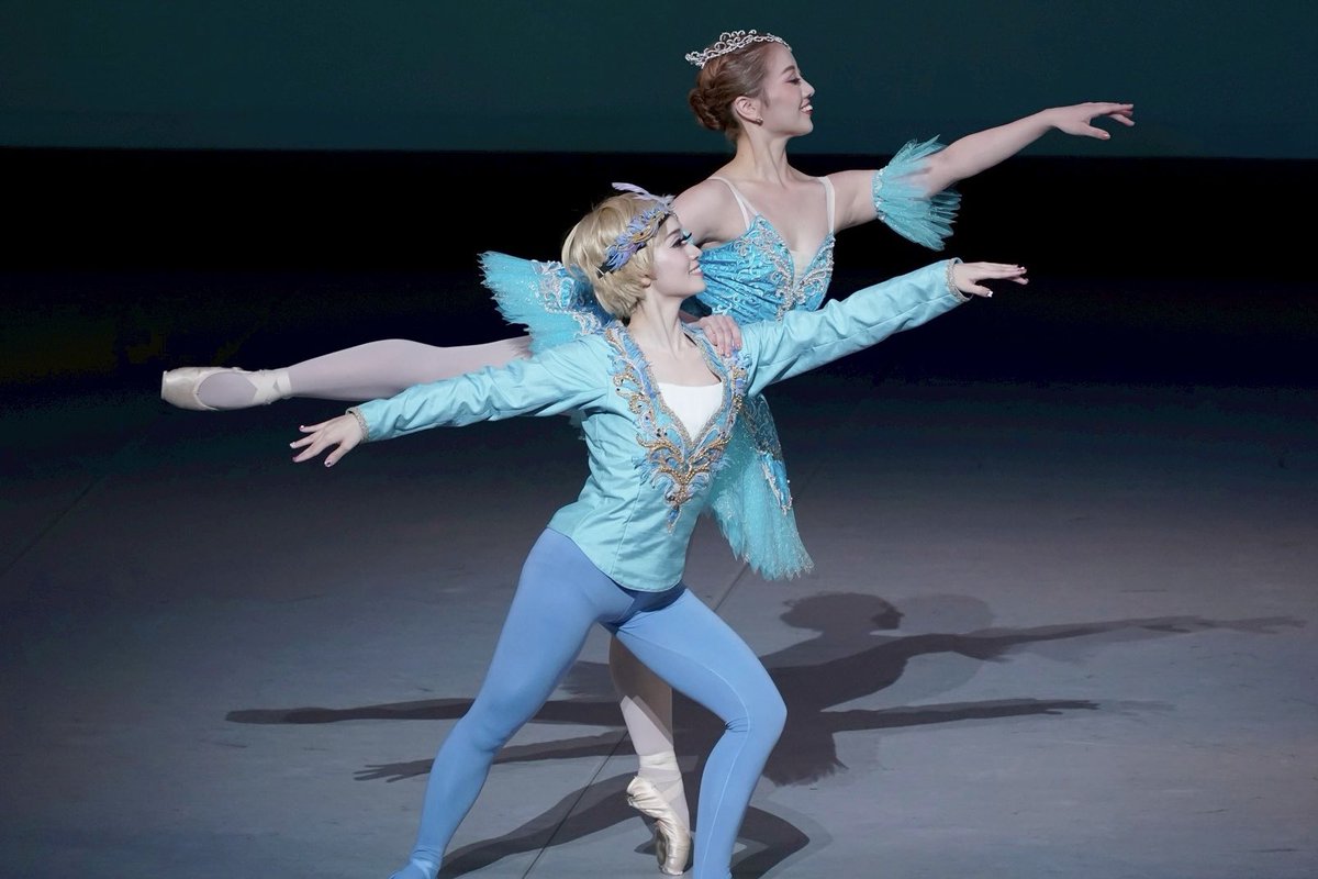 見える人にはそう見える 青い鳥とフロリナ王女のグランパドドゥ