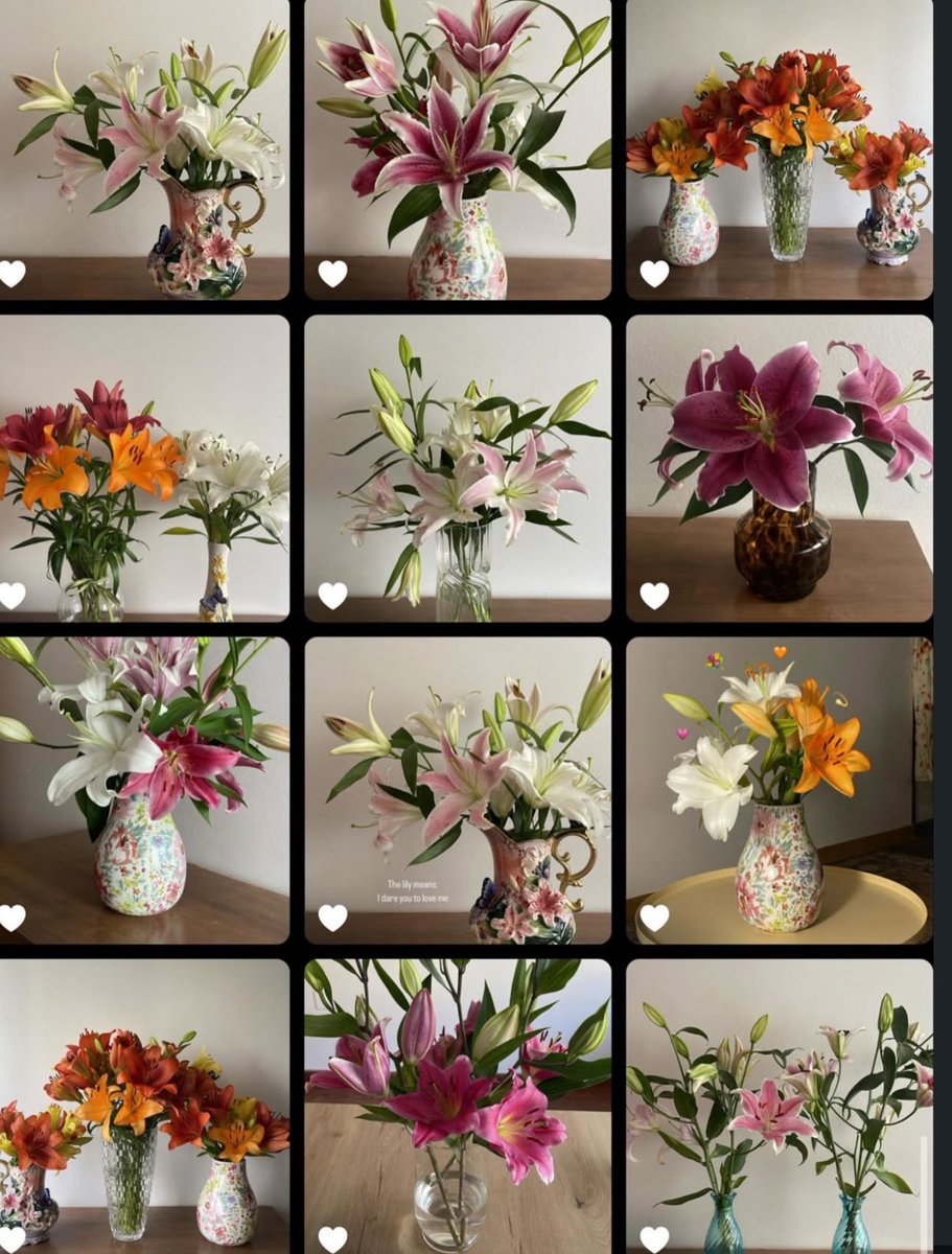 jstll0's tweet image. Lilies