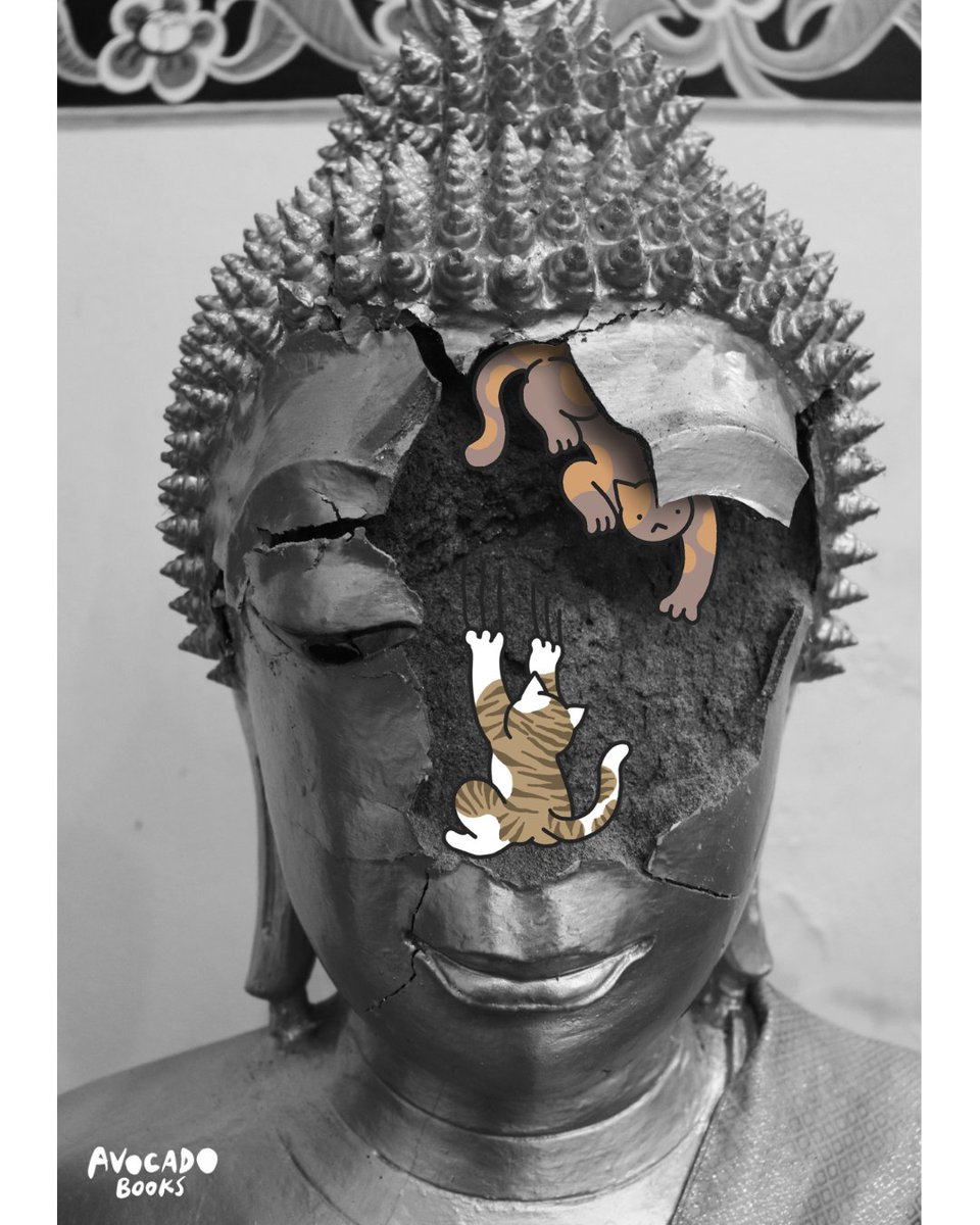 Avocado Books L08 tweet media