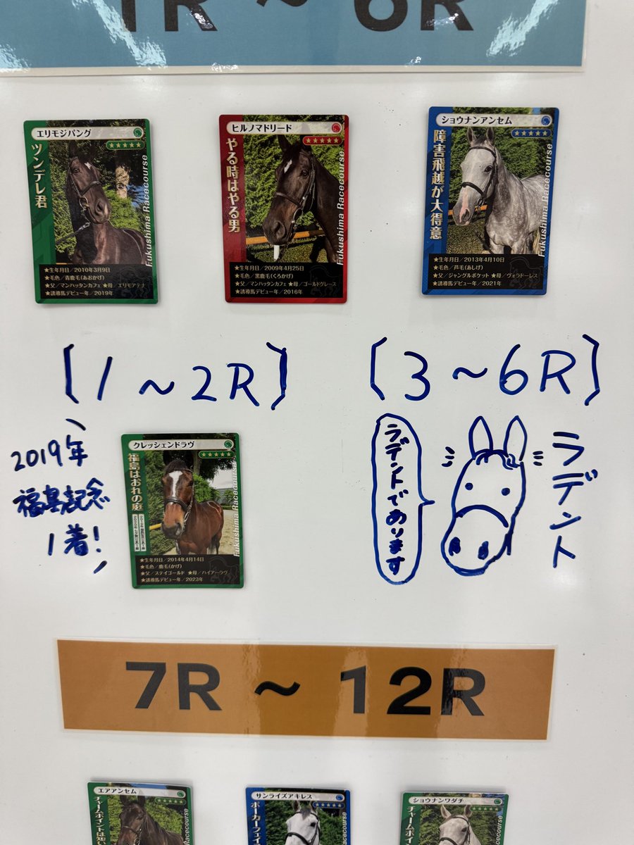 福島競馬場の誘導馬紹介コーナー、最初はターフィーショップ横のビデオ