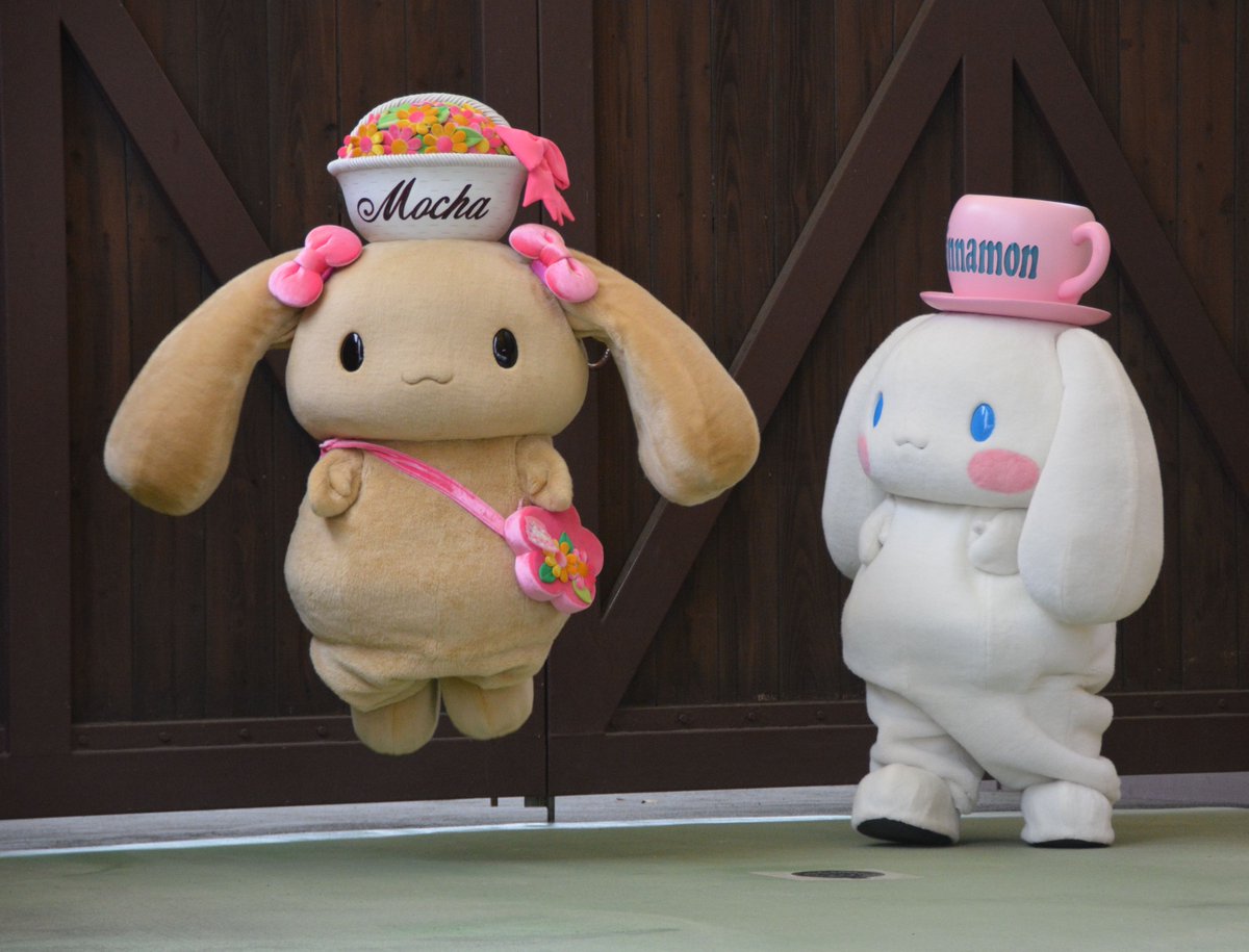 モカちゃん、お誕生日おめでとうー！🎂