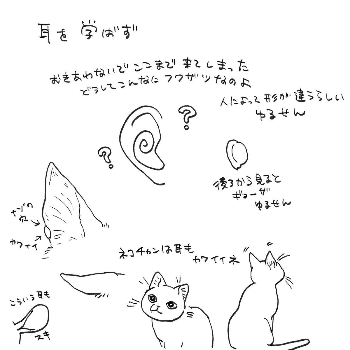 モーベット tweet media