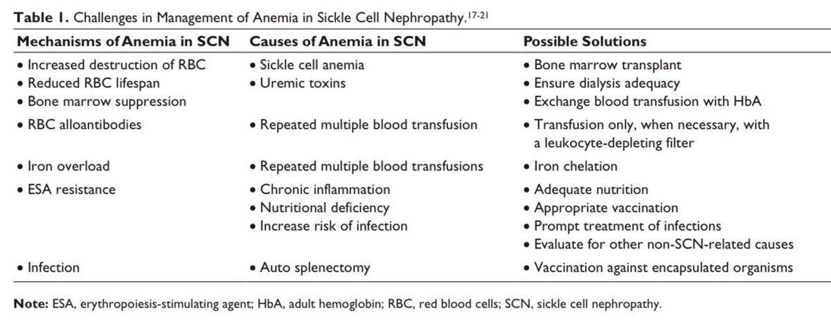 iamnephrologist's tweet photo. 🔥 Challenges in Management of Anemia in
SCN
👉Judicious use of ESAs, BT &amp; Fe chelation therapy be made on a case-by-case basis, taking into account patient’s risks &amp; benefits

Coalition with @ISNkidneycare mentee @SotuboTomiwa

🔗 https://t.co/C4OomCDMBz

#ISNMentorshipProgram https://t.co/spMluHJvQd