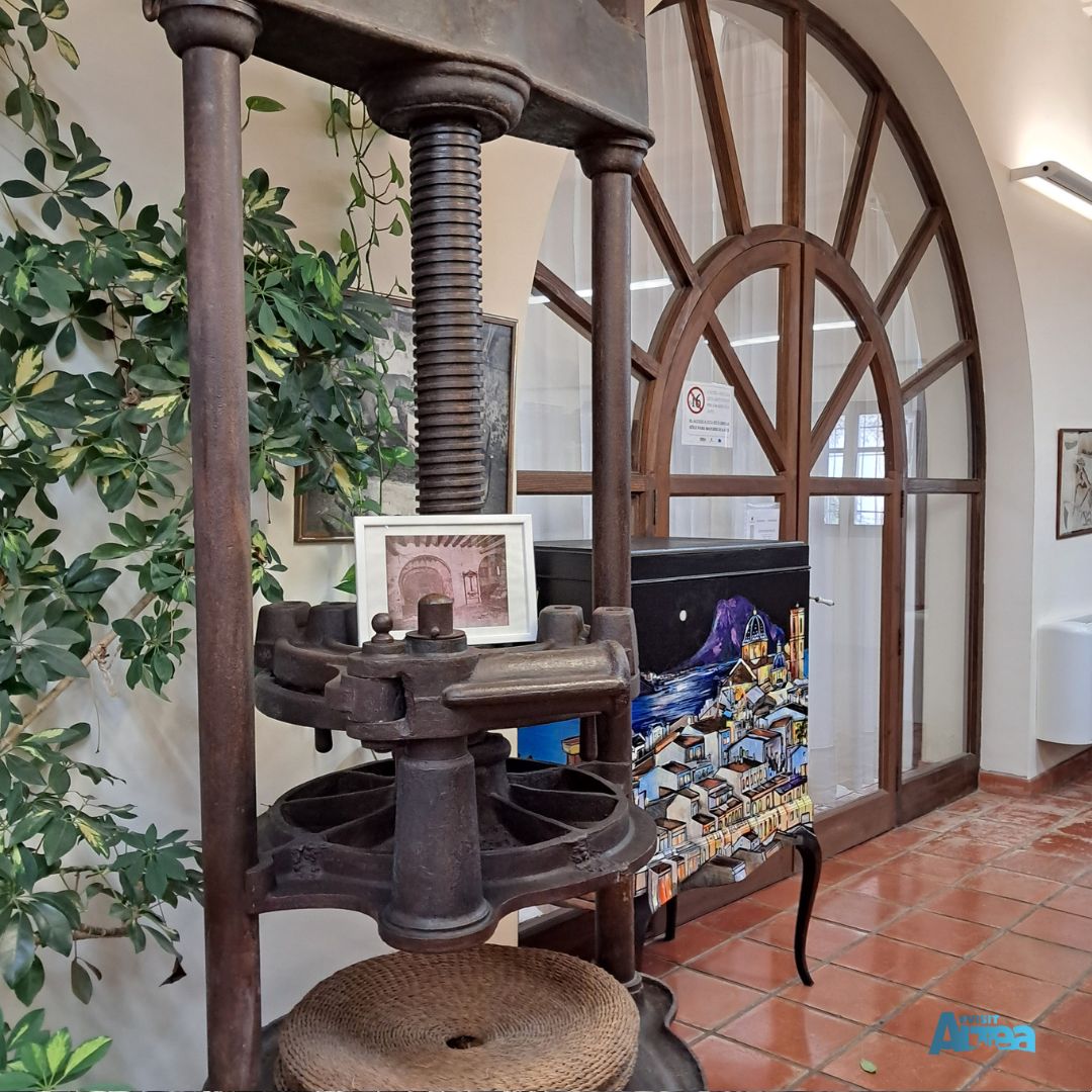 VisitAltea tweet media