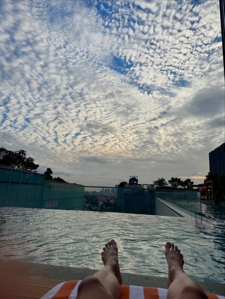 atbo archive tweet media