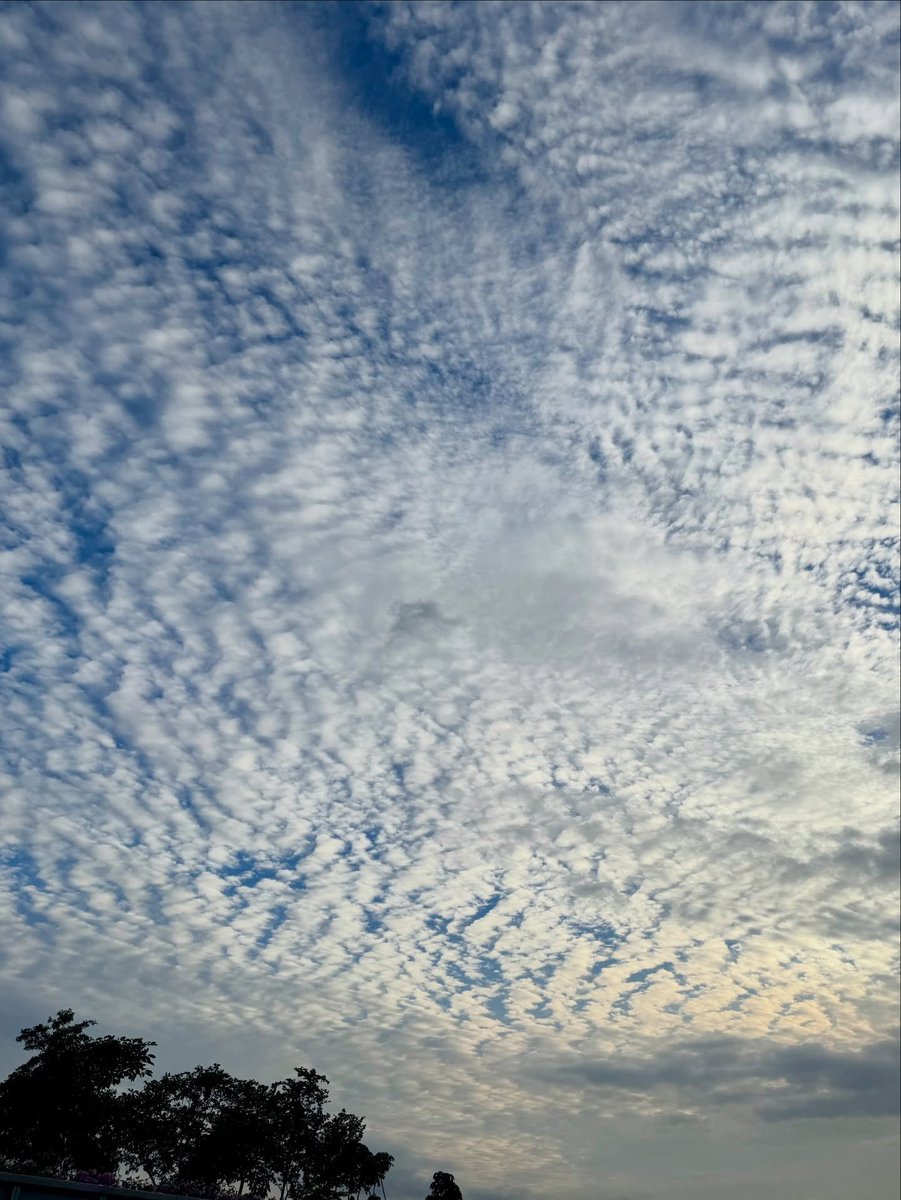 atbo archive tweet media