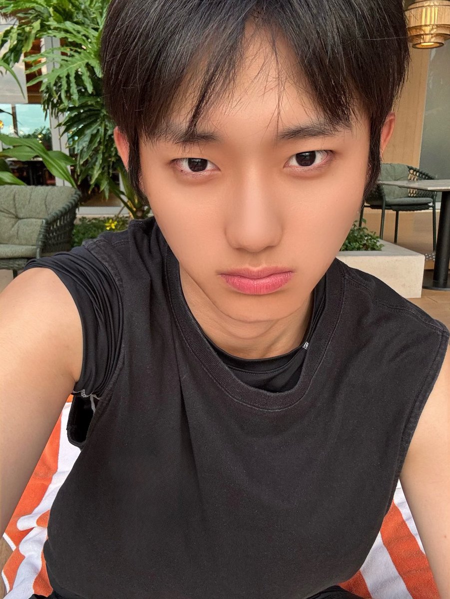 atbo archive tweet media