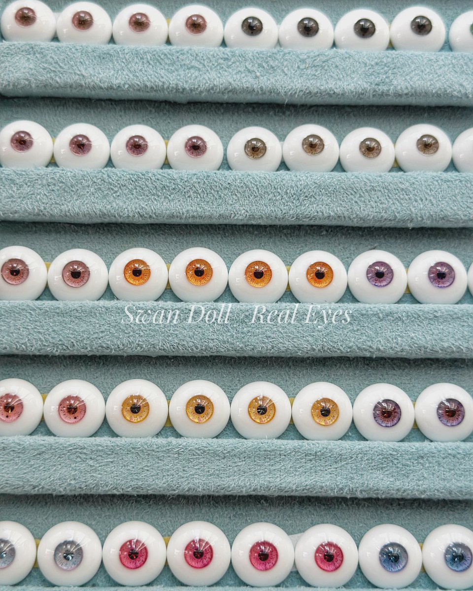 SWAN DOLL tweet media