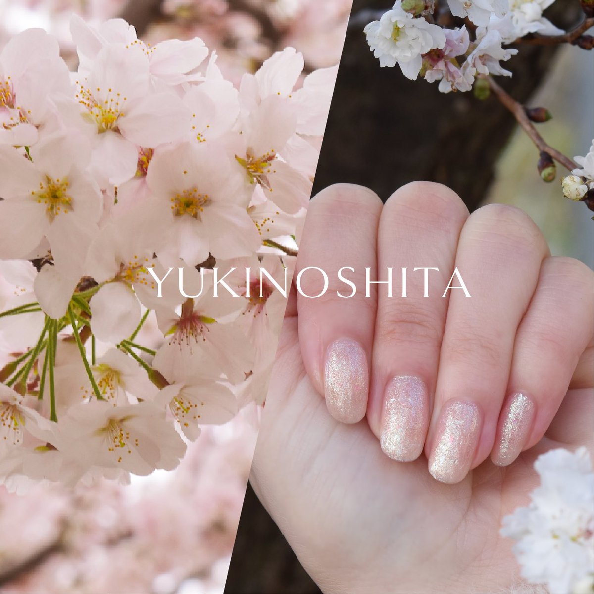 &ante. (@andante_arc) / Posts / X