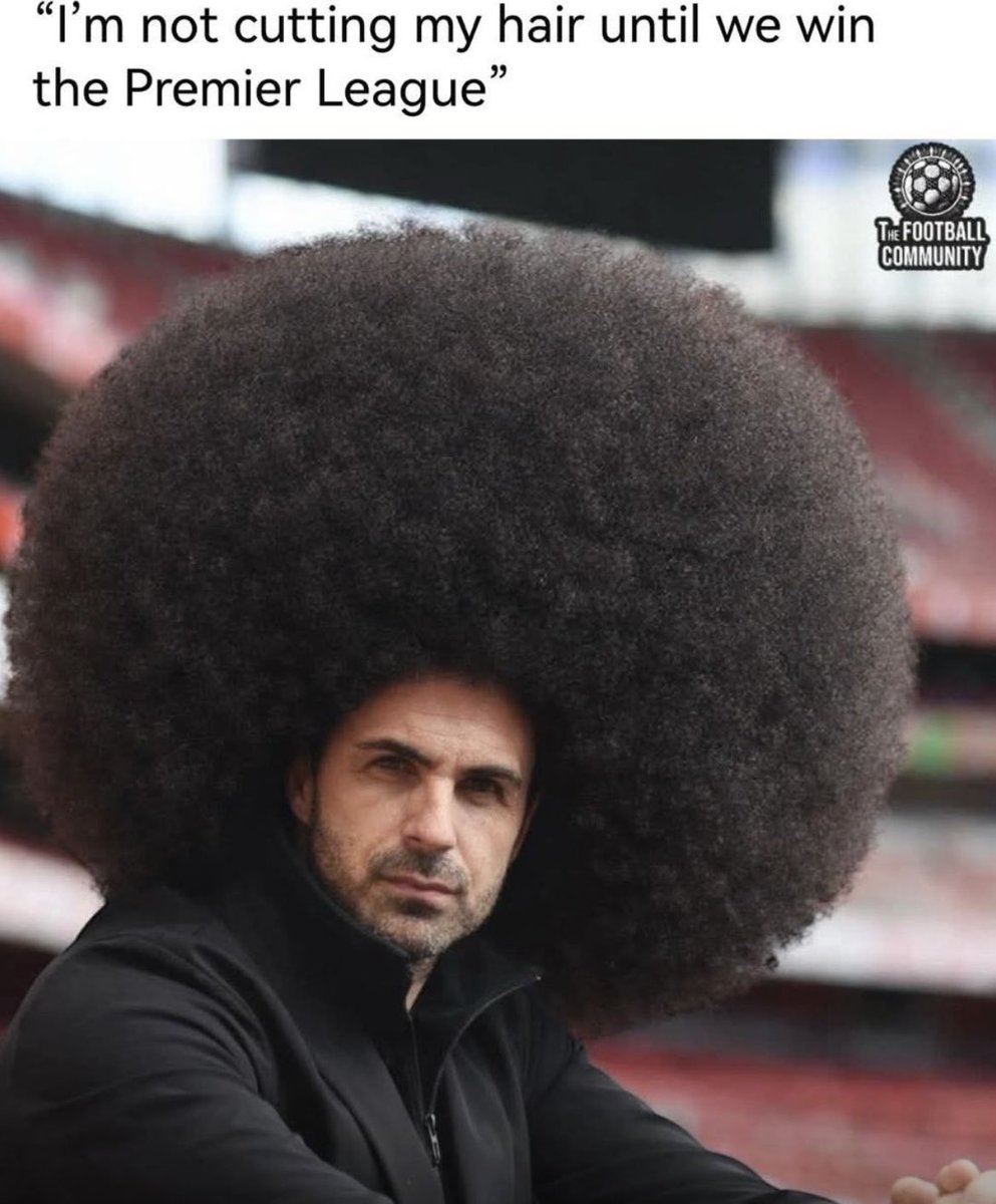 Alex bee tweet media