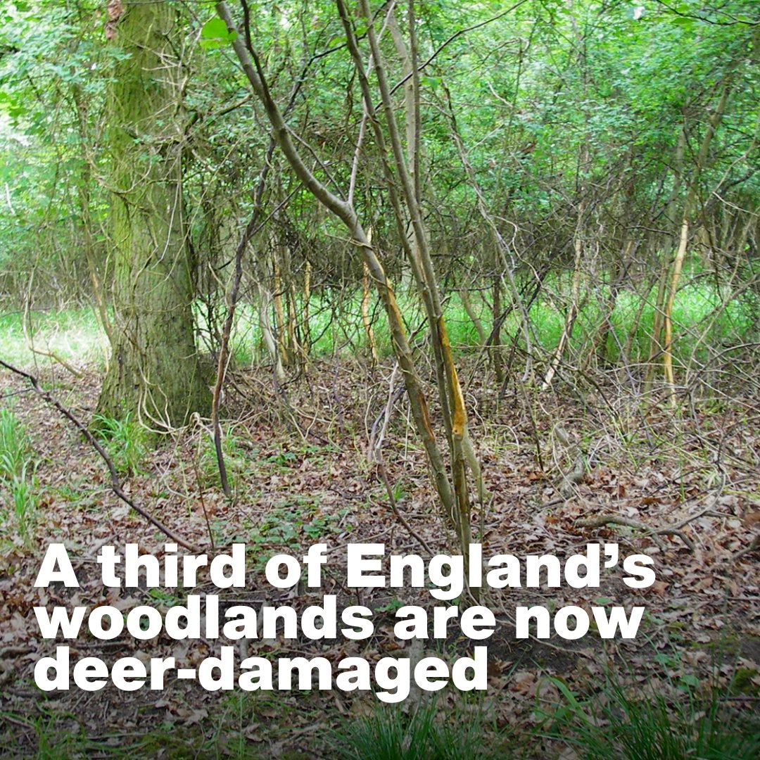 Defra UK tweet media