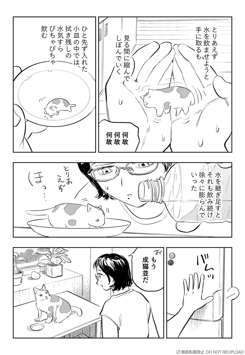 2023年4月26日に見た夢 #ここで醒めた 