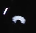 ㅂㅇㅇ님 콘서트 브이로그에 왜 데이지봉이..?