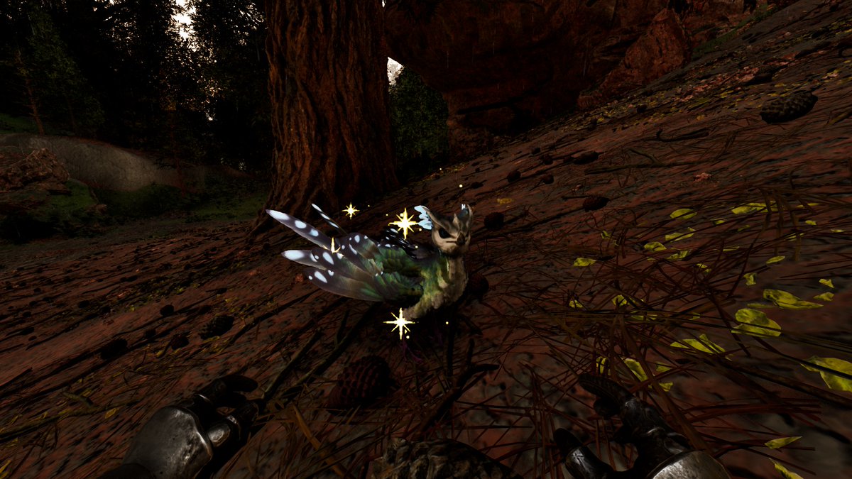 シェン tweet media