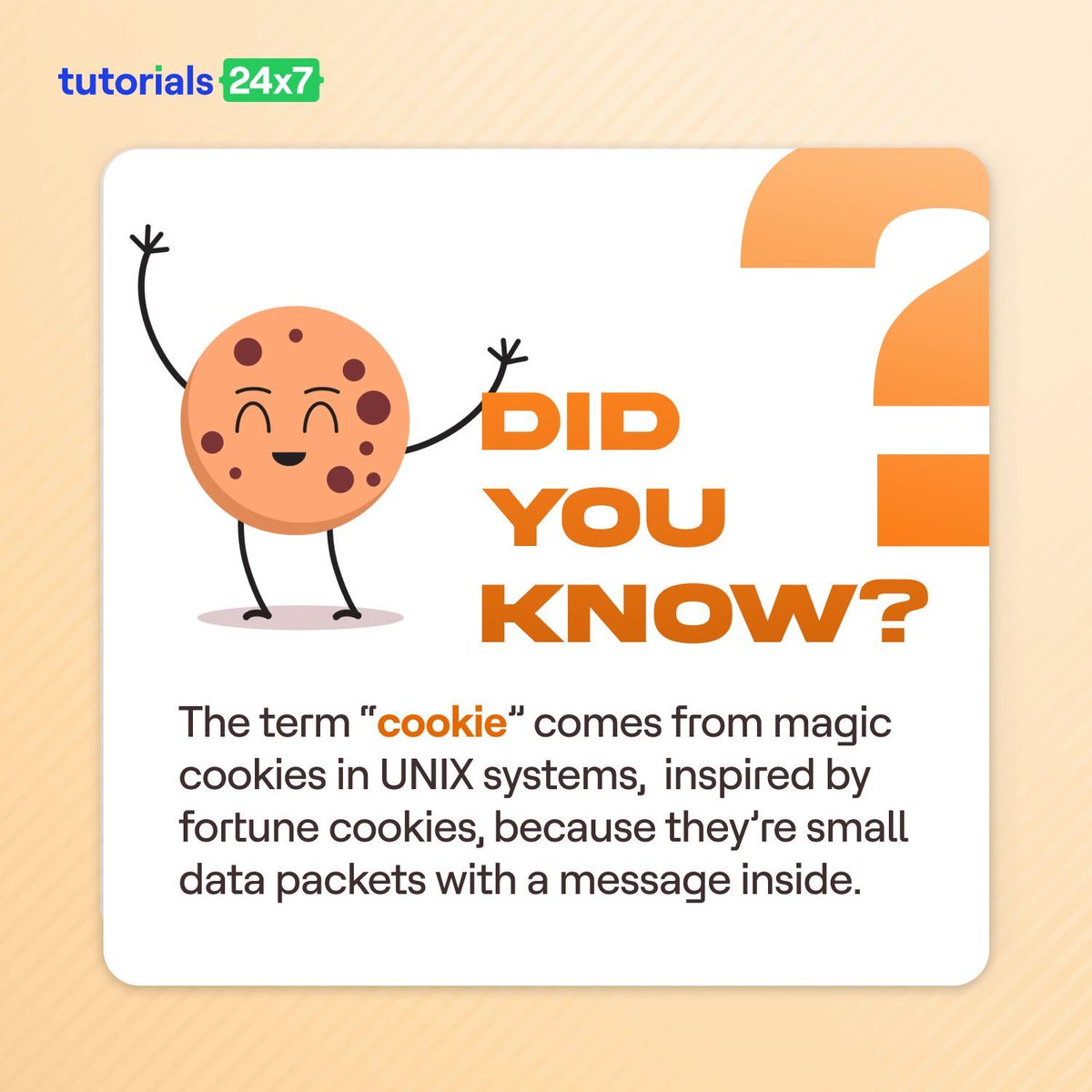 Tutorials24X7 tweet media