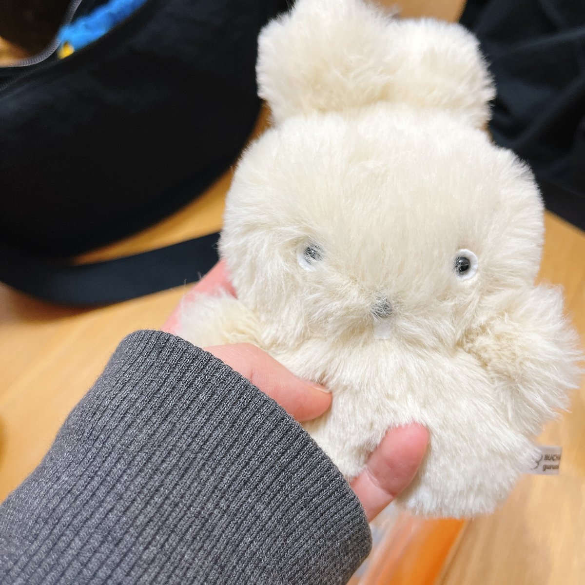 新人ぬいはお留守番だよ…