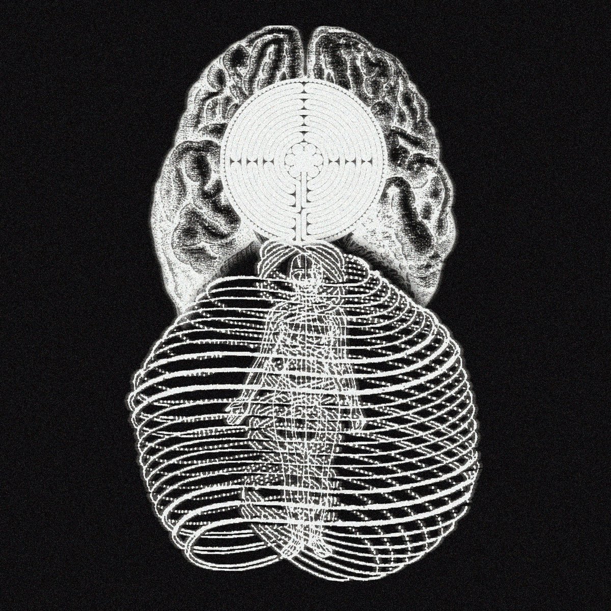 (:)(:)(::(:)) tweet media