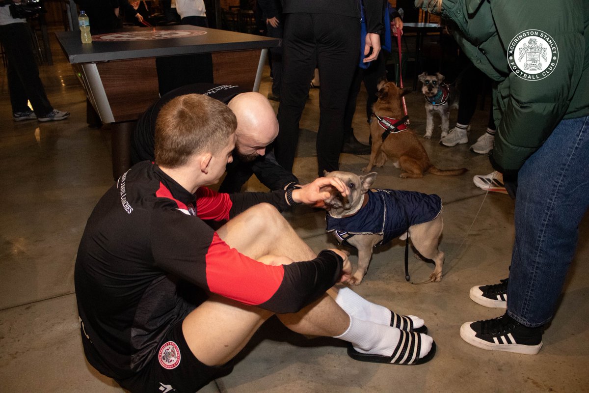 Accrington Stanley tweet media