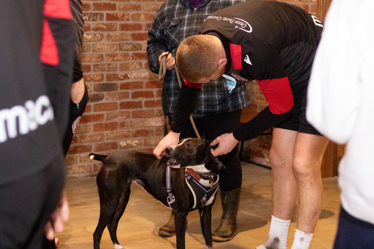 Accrington Stanley tweet media