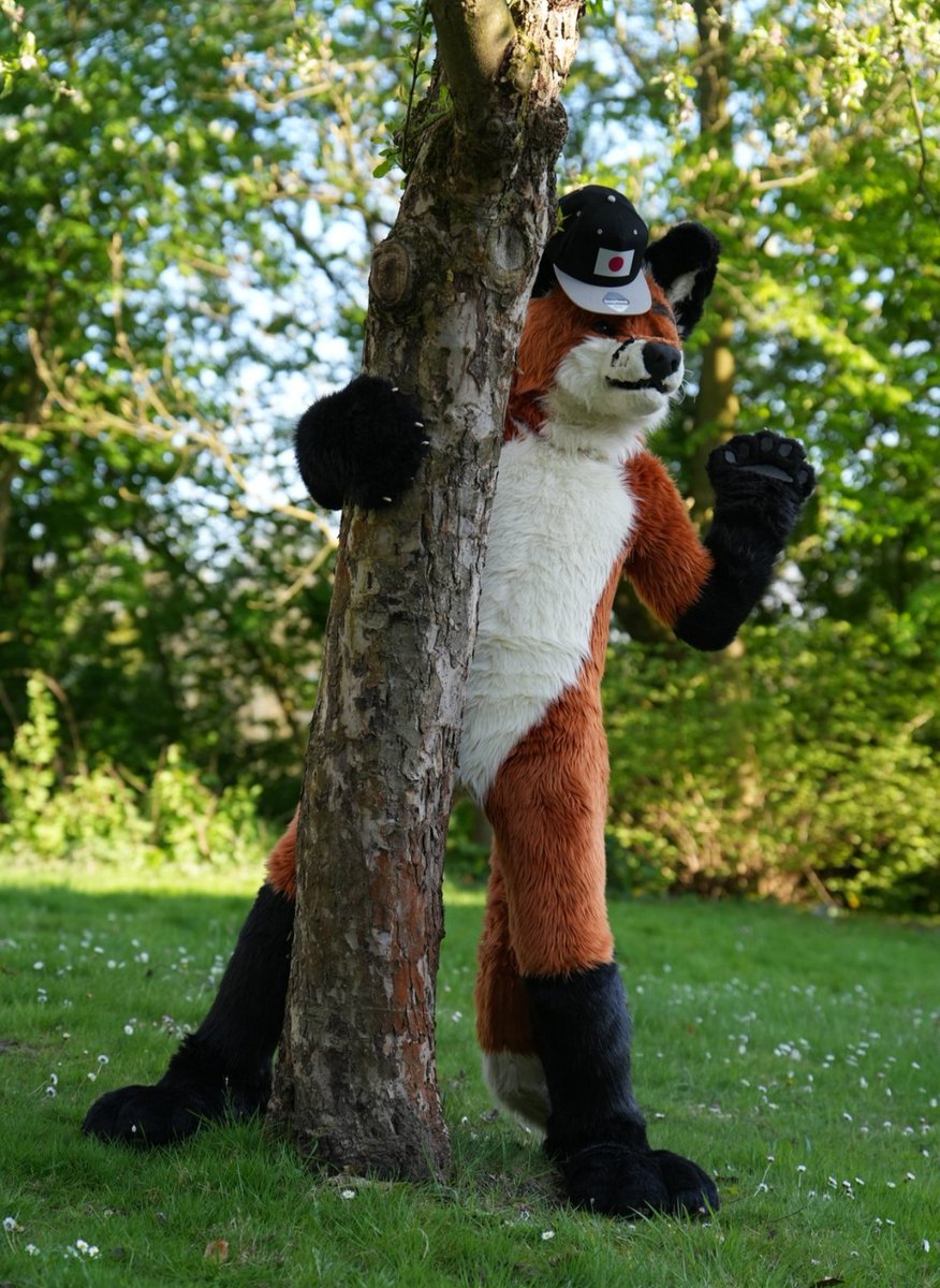 ZYonshi's tweet photo. Happy #FursuitFriday everyone 
🦊🌳🦊🌳🦊🌳🦊🌳🦊🌳🦊🌳
📷 @JikoFox 
#furry #fursuit #foxfriday #fox #furryfandom https://t.co/u9uae5Zdy0