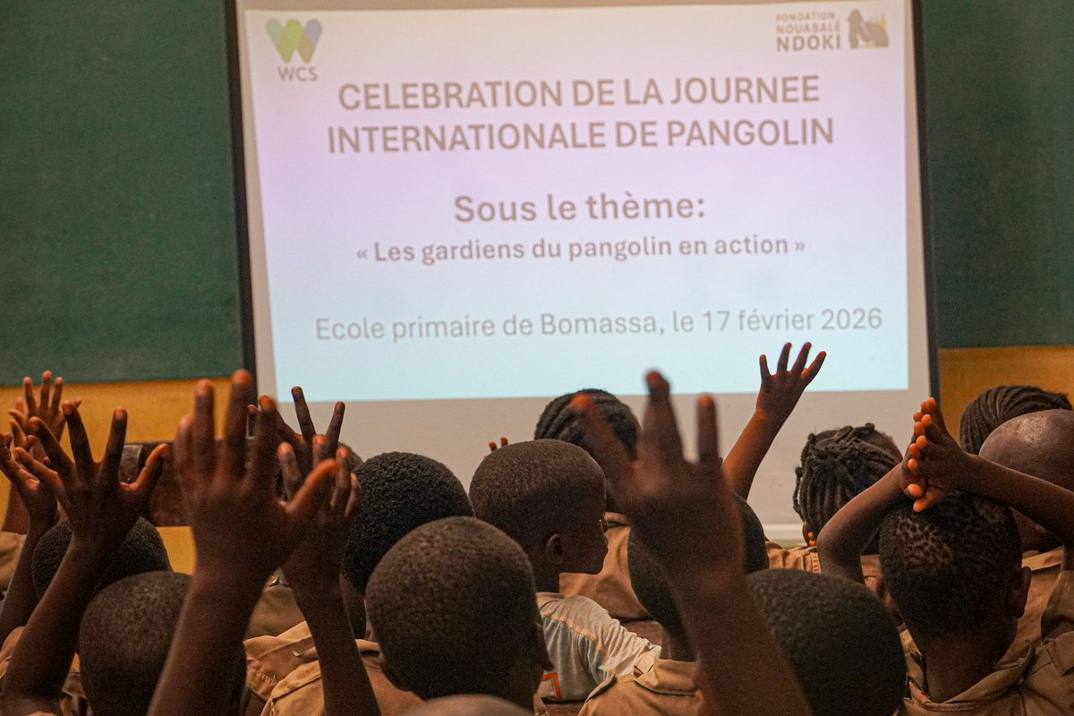 WCS Congo tweet media