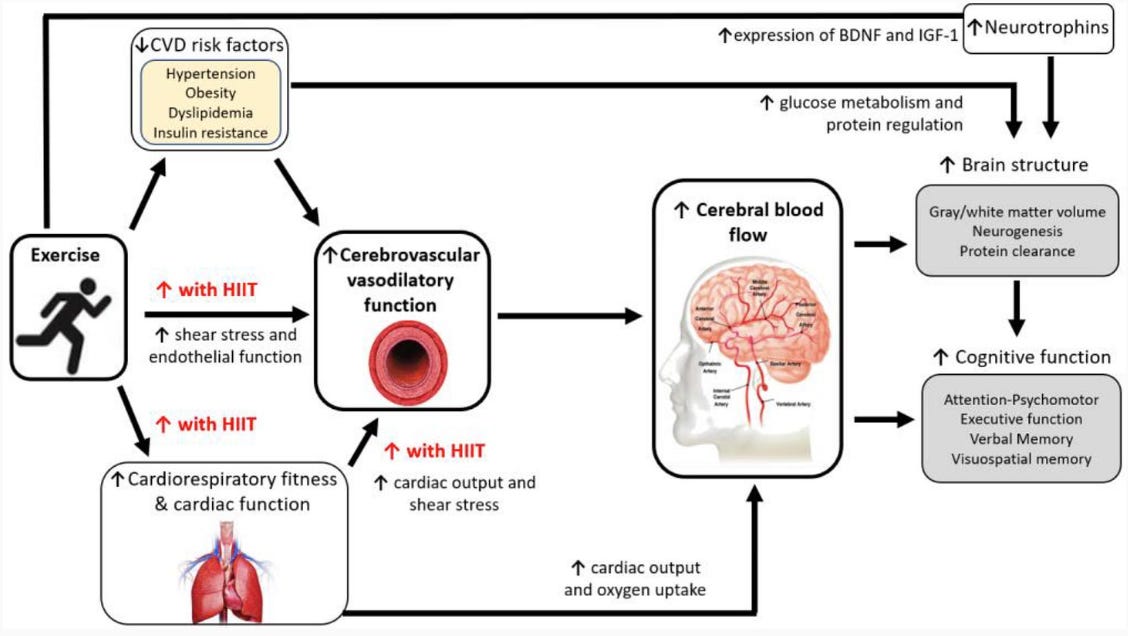 BrandonLuuMD's tweet photo. Pulled an all-nighter? Do 20 minutes of moderate exercise before anything requiring your brain.

In a crossover study, 24 h without sleep slowed reaction time and impaired executive function, but 20 min of moderate cycling improved both, along with prefrontal oxygenation. https://t.co/gFH3b8vBqW