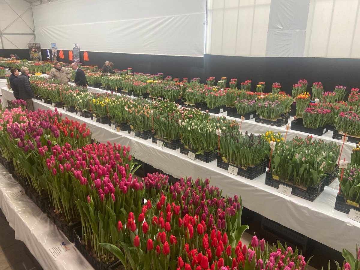 Allround Vegetable Processing tweet media