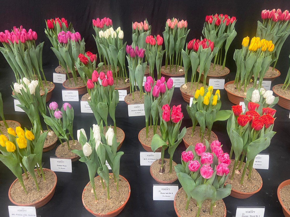 Allround Vegetable Processing tweet media