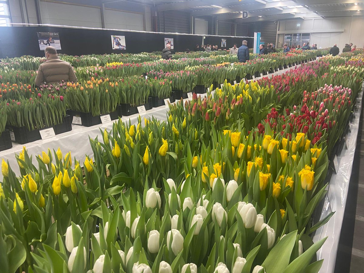 Allround Vegetable Processing tweet media