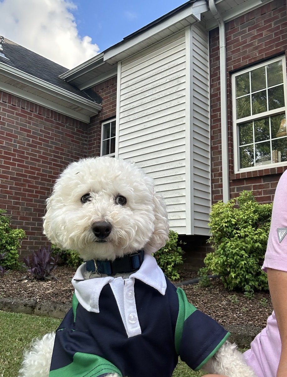 Shelby Mac tweet media