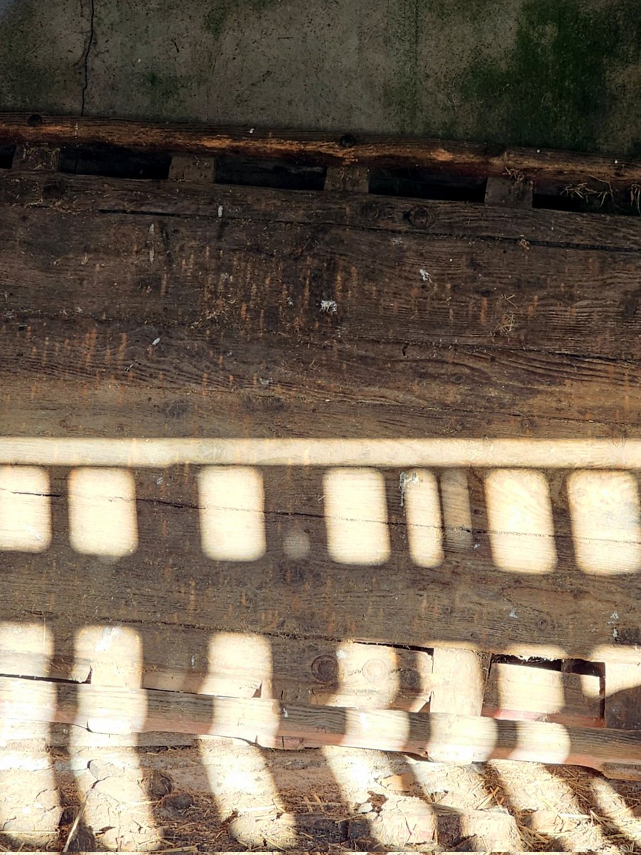 ᴀʙʙɪᴇ (@thehungryfox) on Twitter photo 