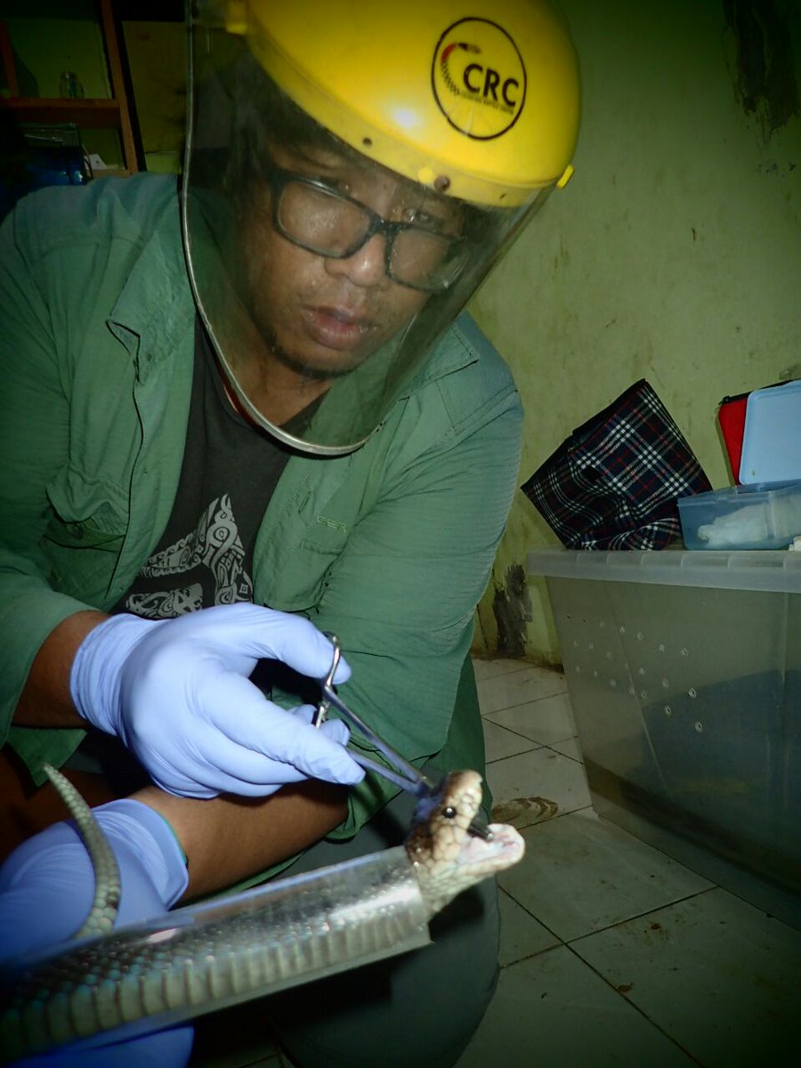 piyopikavet's tweet photo. Dokter hewan satwa liar

Kuliah kedokteran hewan
Ambil diploma spesialis medik konservasi

Otw menjadi master primatologi https://t.co/nhAAmZwnz5