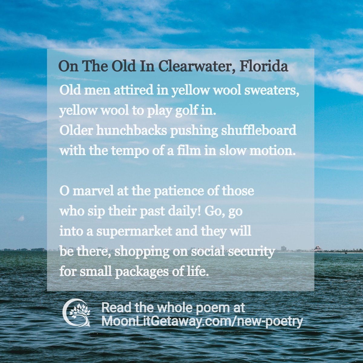 MoonLit Getaway tweet media