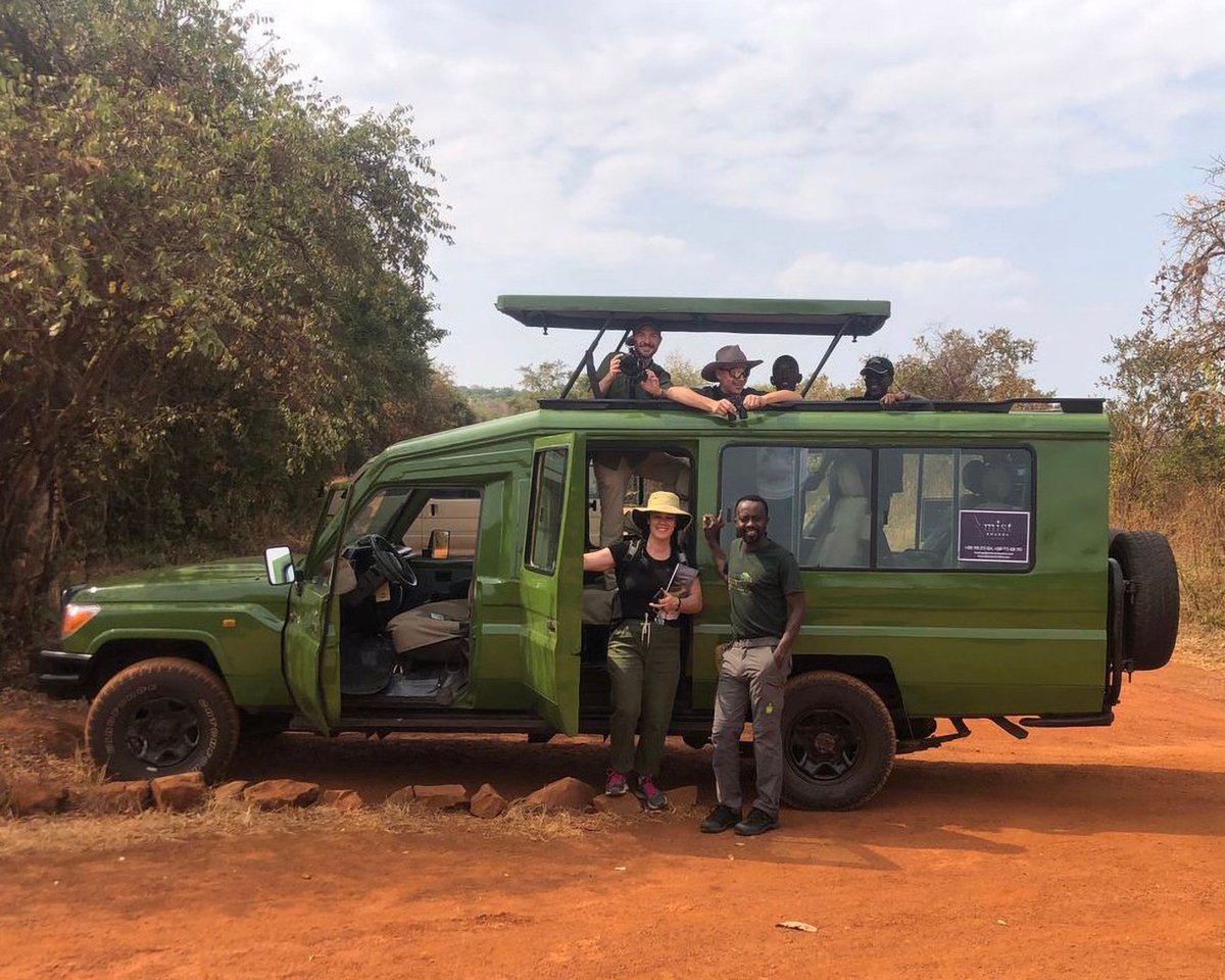 Mist Rwanda Safaris tweet media
