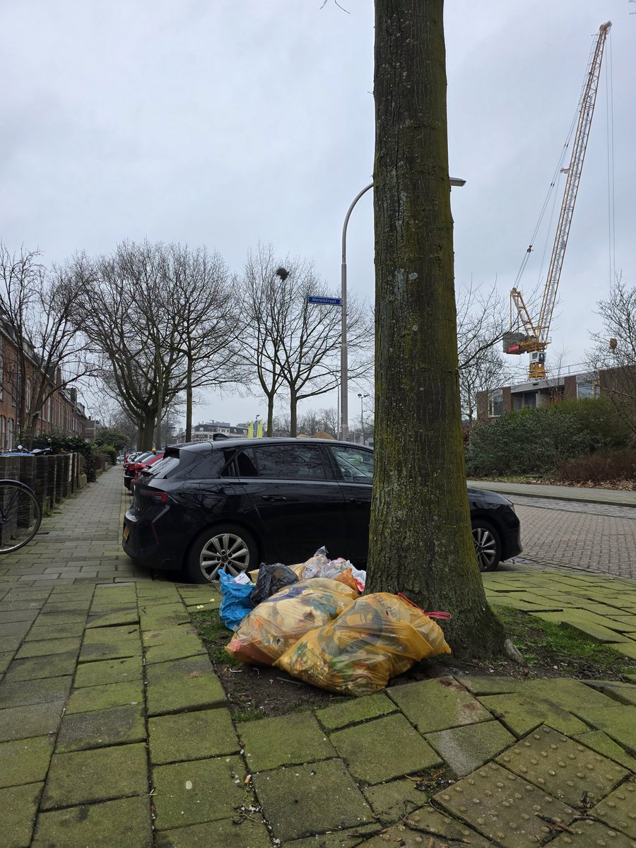 Foto's van vrijdag 20 februari Nijmegen West. Dinsdag was het ophaaldag en de professionals laten opnieuw verstek gaan. 
<a href="/Stadspartij024/">Stadspartij Nijmegen ❤🖤</a> dit past toch niet bij wat jullie voorstaat?