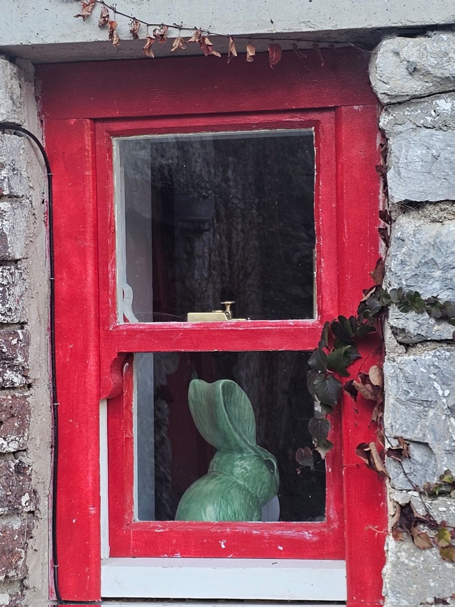 ᴀʙʙɪᴇ (@thehungryfox) on Twitter photo 