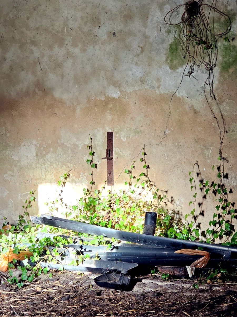 ᴀʙʙɪᴇ (@thehungryfox) on Twitter photo 