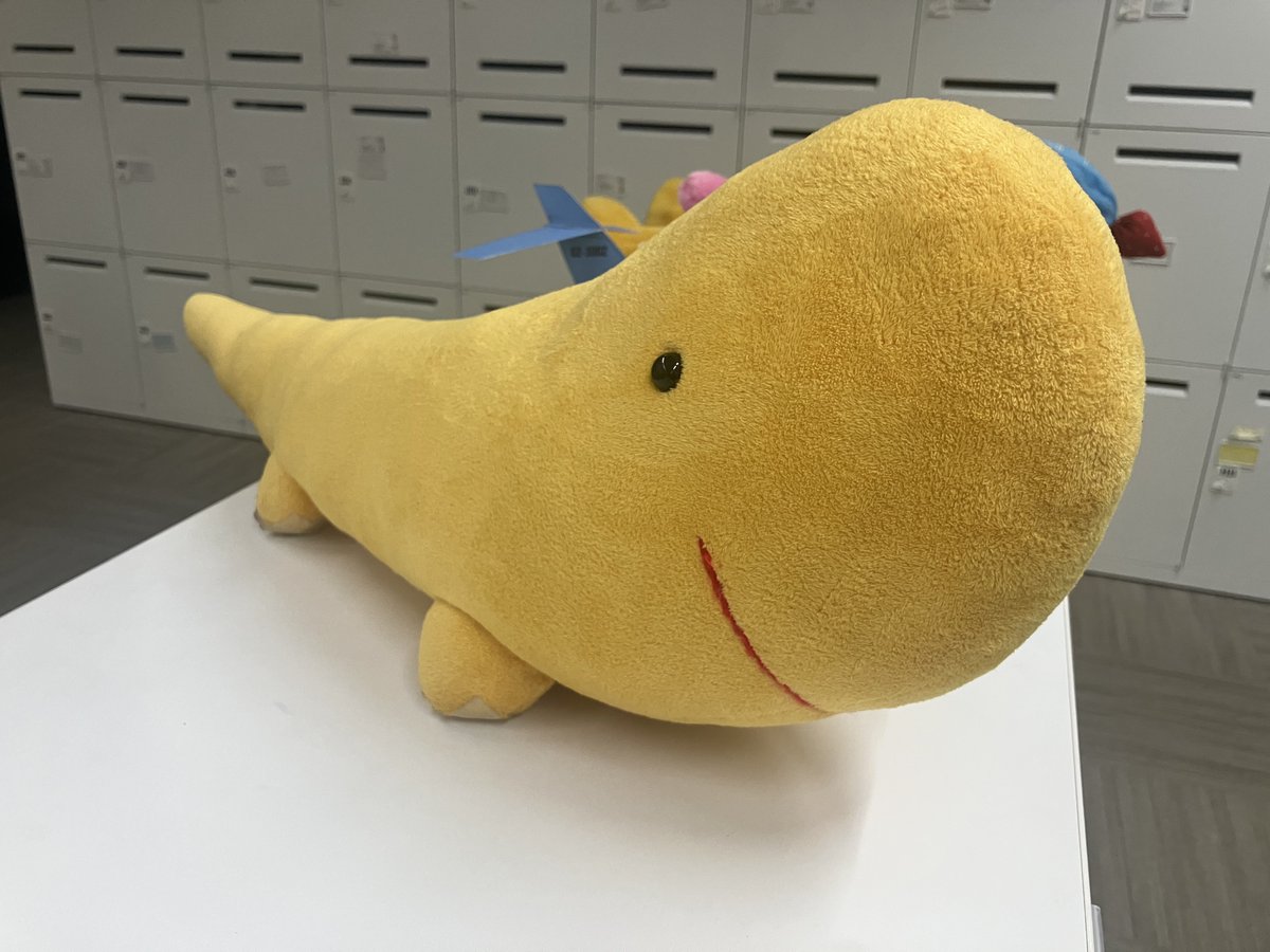 tojima_p's tweet photo. onちゃんのペット「ぐち」。ぬいぐるみもありますので知っている人は知っているかと思います。世界のコンテンツ事業部スタッフ☆ミハリが「こんなの作ったんですけど」と声をかけてきたので動画撮影。この試作品はどうでしょう。欲しい人いるかなぁ😕 https://t.co/Vpg9waltcu