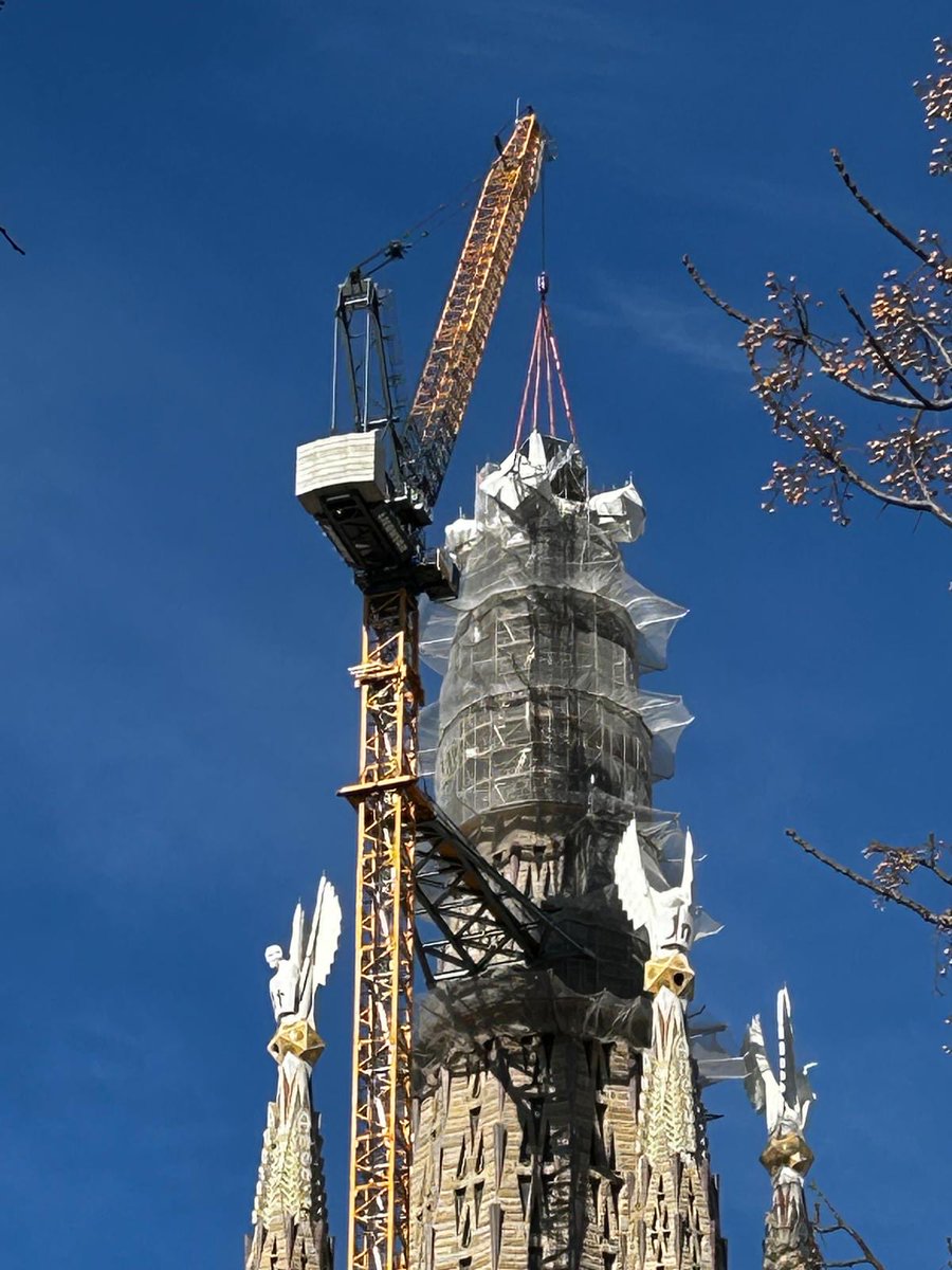 ついに⋯！！！見に行きたい！