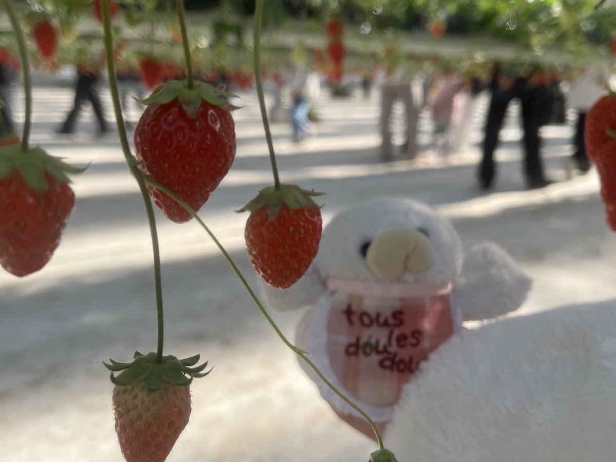 ___doudou_____'s tweet photo. #過去作でどれだけ伸びるか無言でチャレンジ見た人もやる https://t.co/9NELAwpjjK