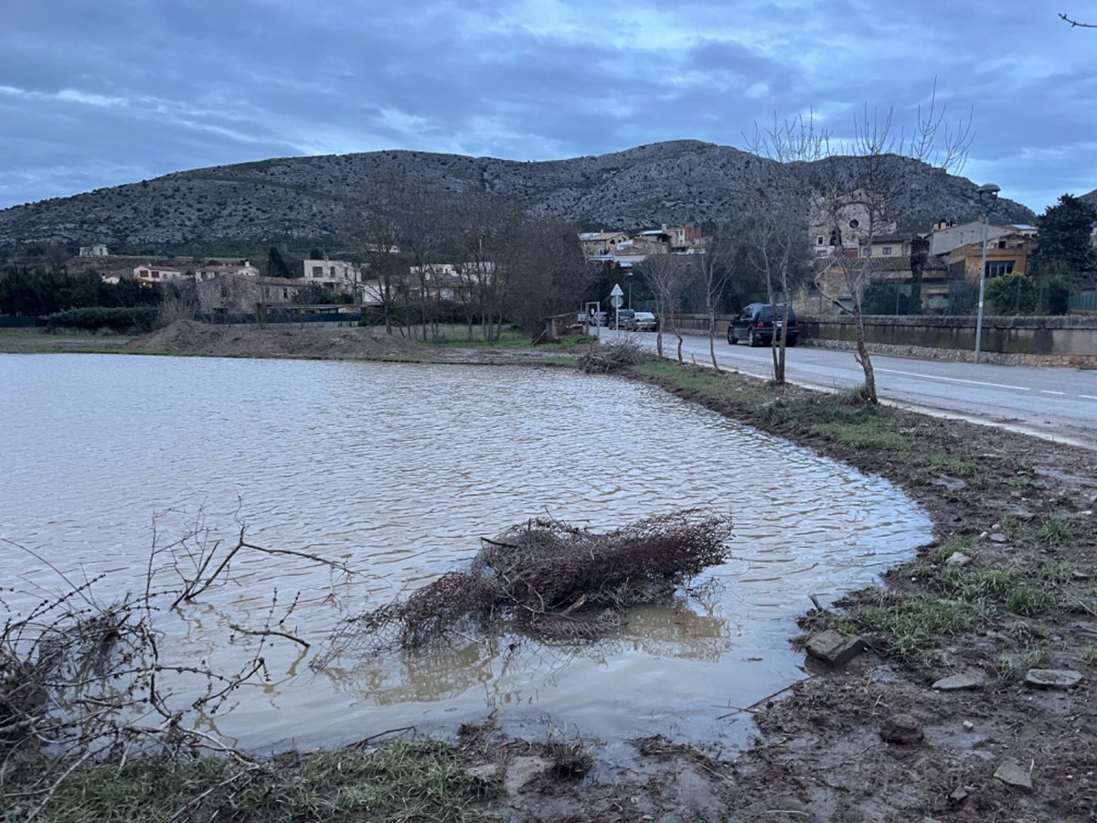 Diputació de Girona tweet media