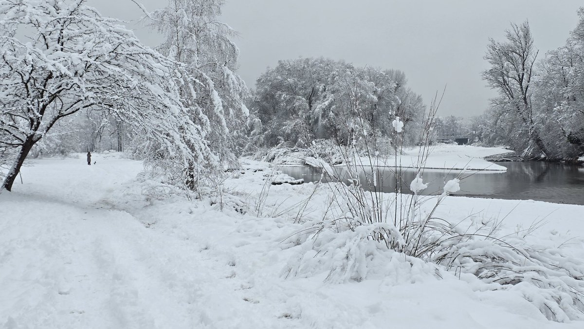 Ellie & Stefan 👫| Berkeley Square Barbarian tweet media