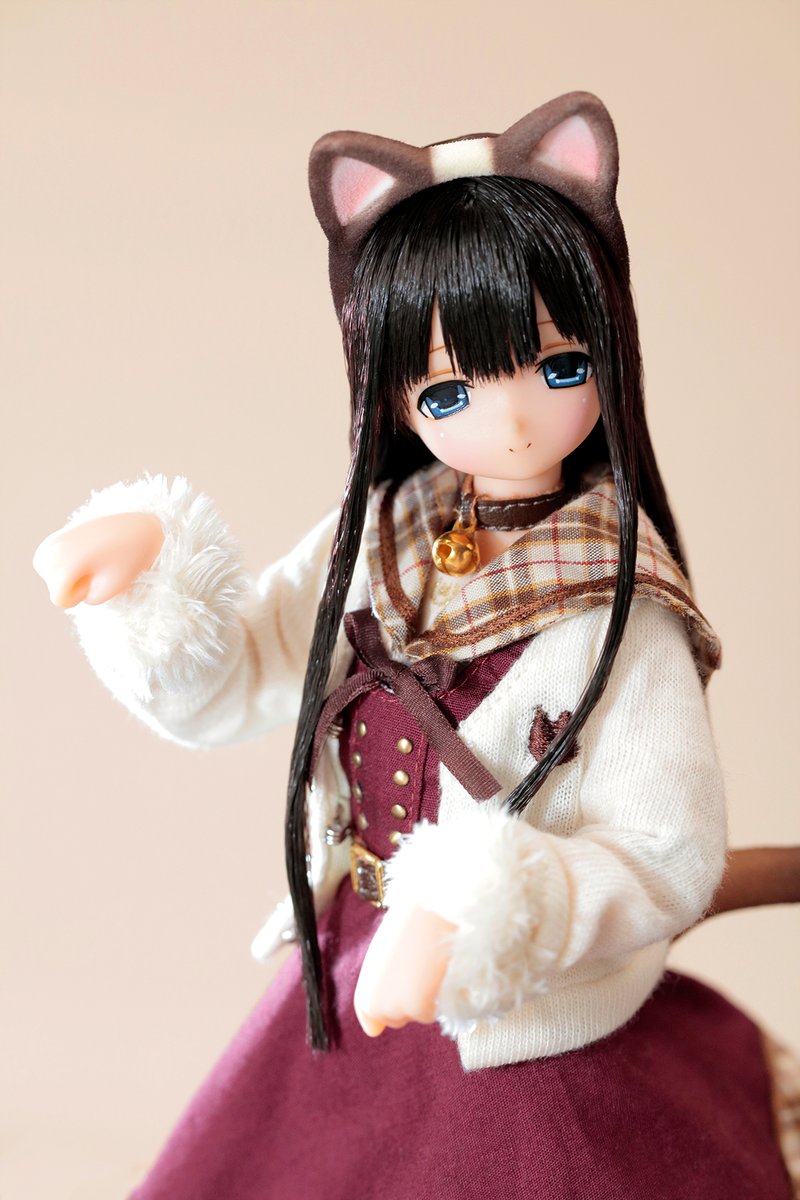 えっくす☆きゅーと】 2月22日は #猫の日。 えっくす☆きゅーとからは