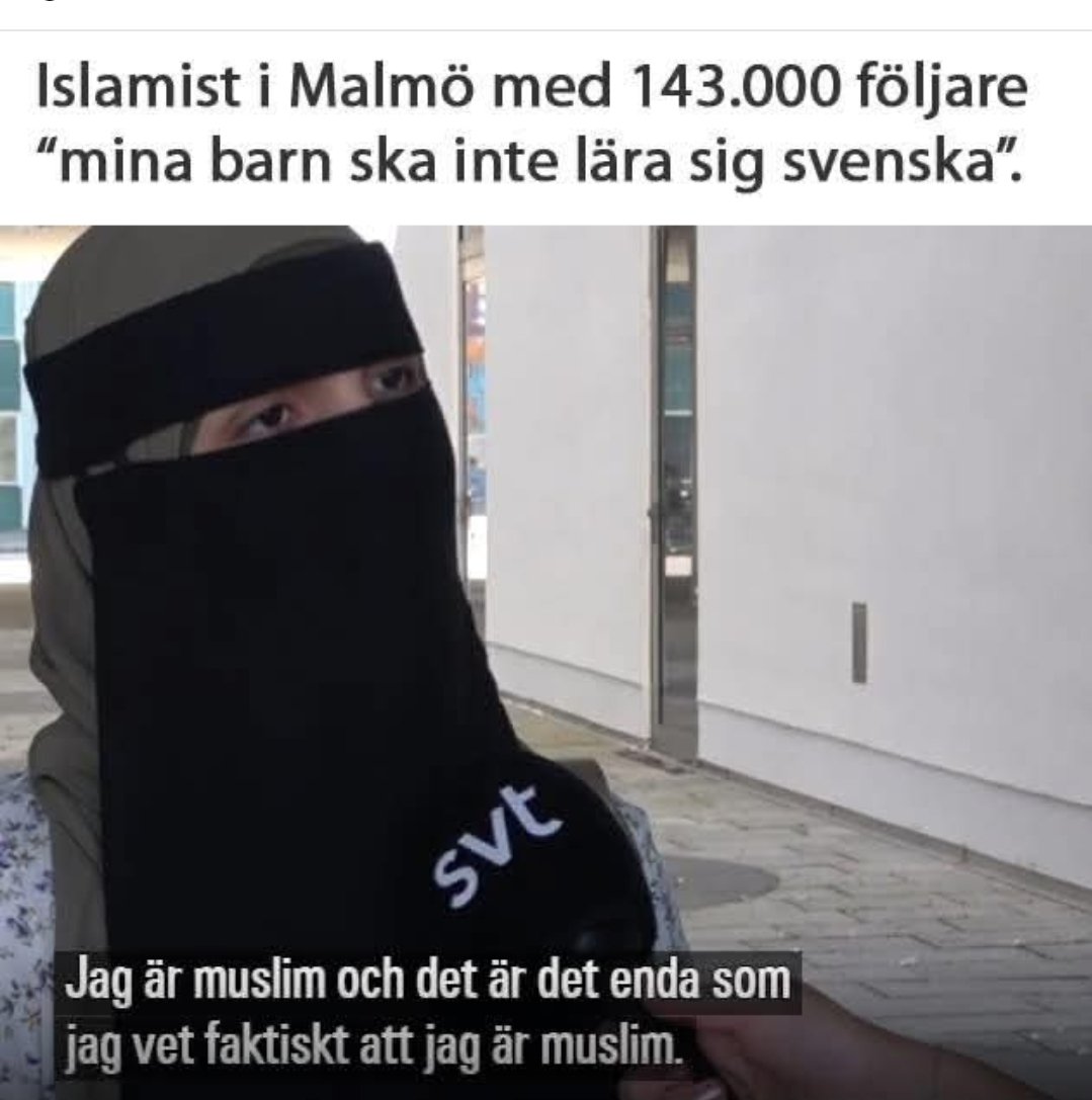 Vänsterfolk och deras media älskar att använda barn som slagträn. Speciellt när det handlar om utvisningar trots att barnen kan hemspråket och kulturen. Med sverigehatande föräldrar är de mer hemmastadda i hemländerna än här. Ut med dessa: