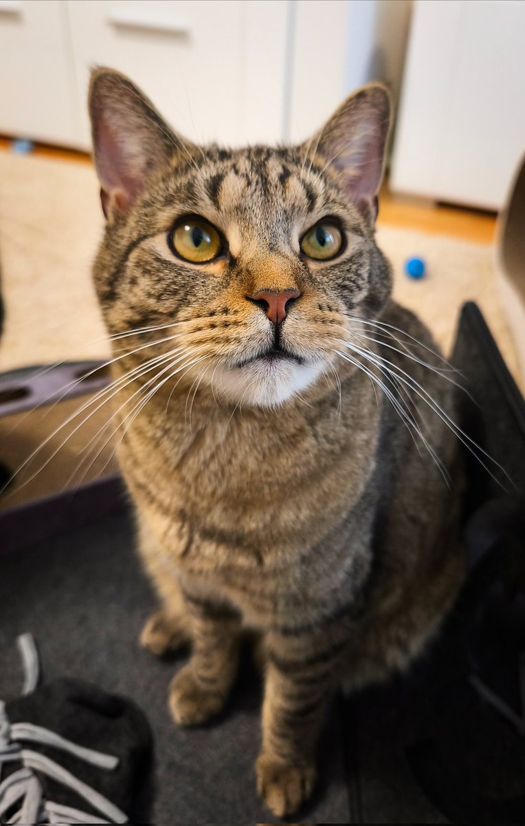 Sven Bartels tweet media