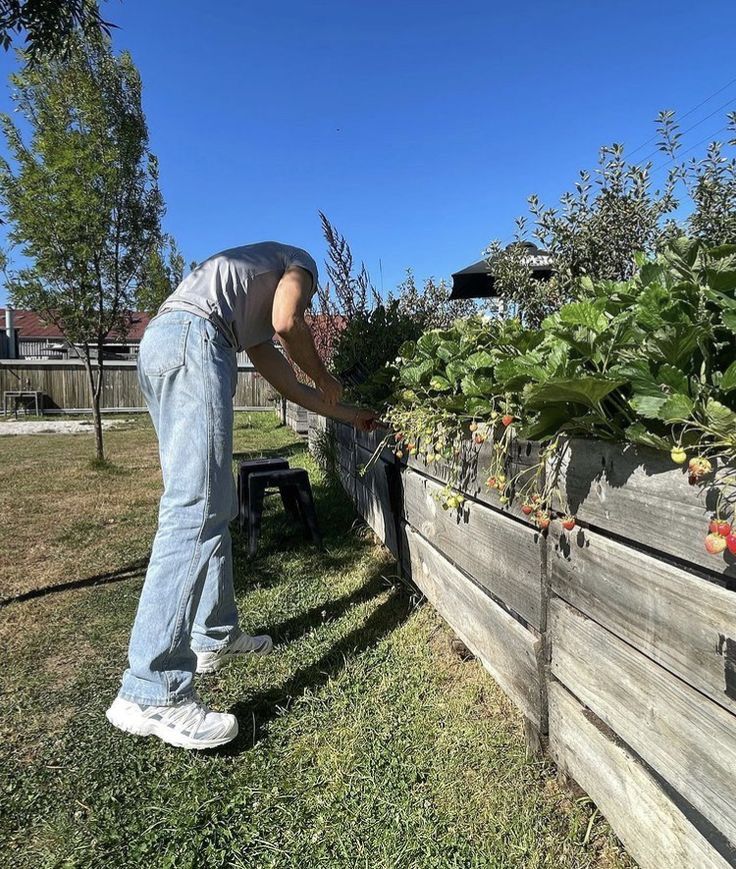 T3ddytonks's tweet image. Onde a vida floresce, o trabalho vale a pena. E Pode parecer bagunça, mas eu juro que tem um plano aqui!

#GardenLife, #MãoNaTerra  #HomeGarden.