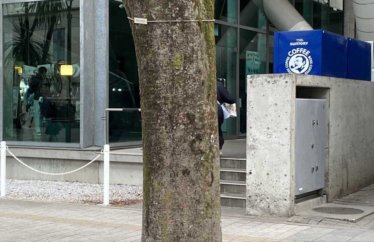 ू•ω•)ﾁﾗｯ