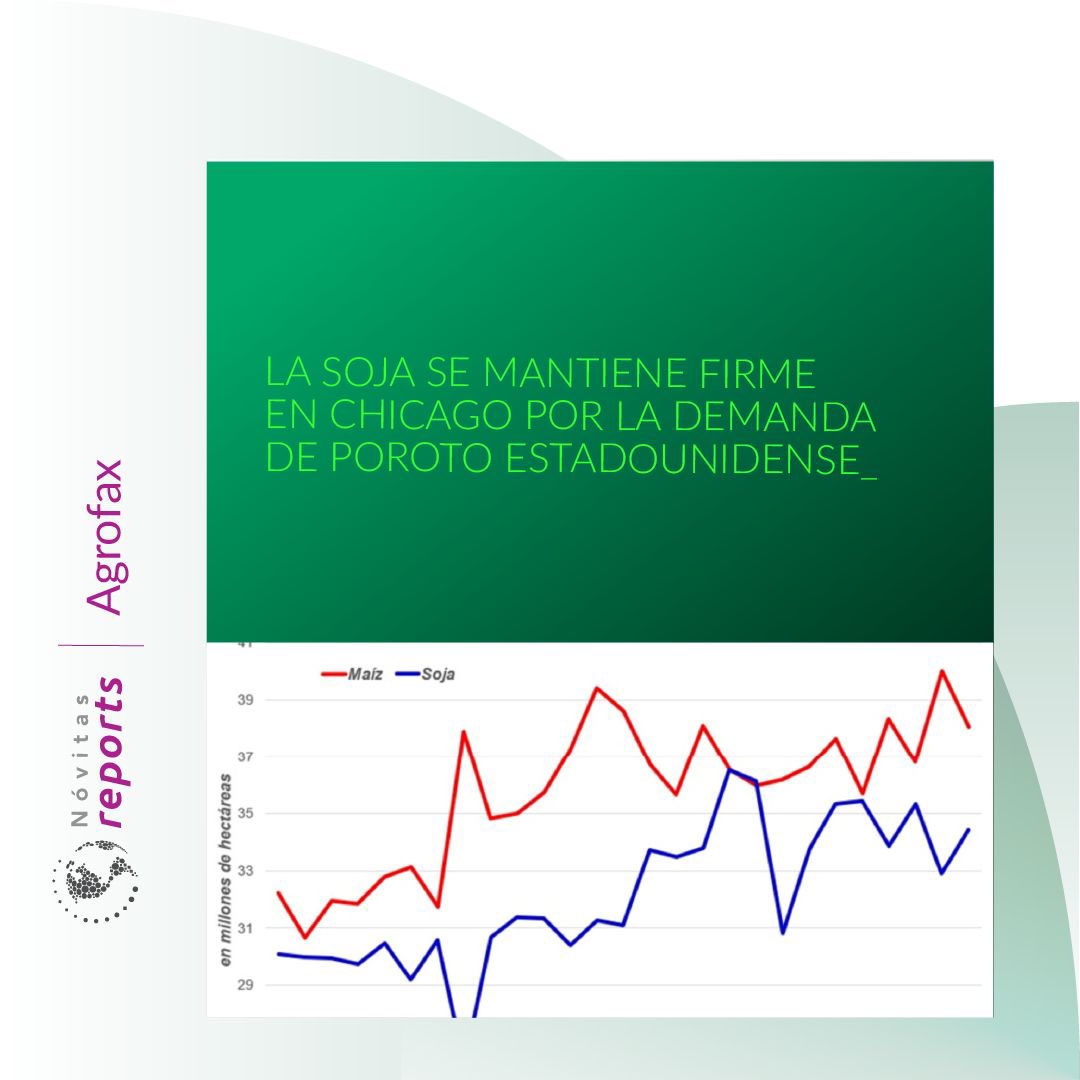 Nóvitas S.A. tweet media