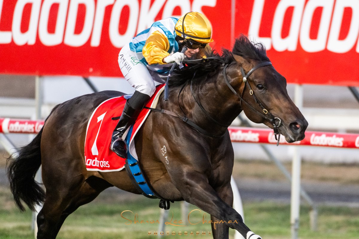 SHARON CHAPMAN tweet media