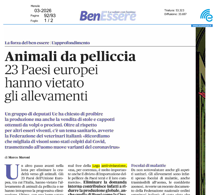 Siamo ancora in attesa della decisione dell'#UE sul futuro dell'industria delle pellicce. #LAV insieme a <a href="/FurFreeAlliance/">Fur Free Alliance</a> ha chiesto di ascoltare il parere di oltre 1 milione e mezzo di cittadini e mettere fine a questo mercato spietato. In edicola sul mensile Benessere👇